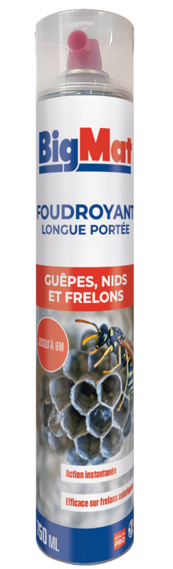 Aérosol BigMat foudroyant guêpes et frelons 750 ml