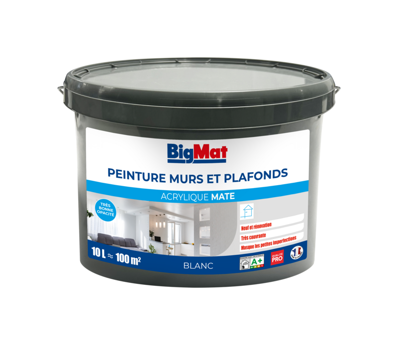 Peinture acrylique mate BigMat murs et plafonds blanc 10 L